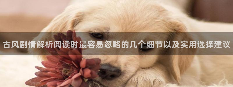 羞羞漫画免费网站大全